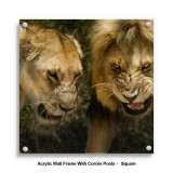 Acrylic Photo Frames – The True Benefits Of Buying Online