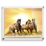 This Acrylic Photo Frame really sets off the horses beautifully.