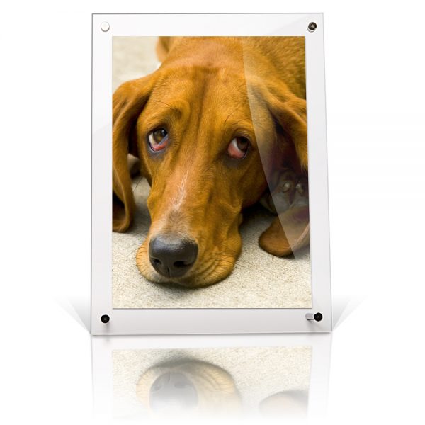 A6 Acrylic Desktop Frame Get Acrylic Photo Frames